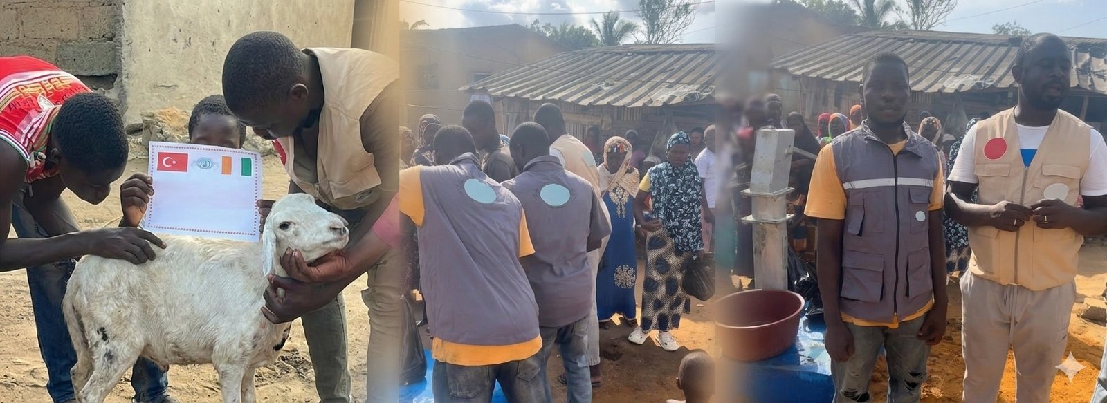 Afrika kurban organizasyonu